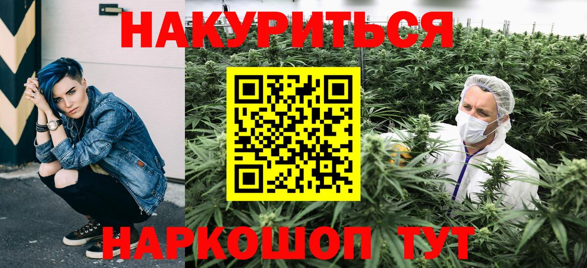 Тольятти  Бошки марихуана конопля  Марихуана план  Конопля Amnesia  Вход с VPN 